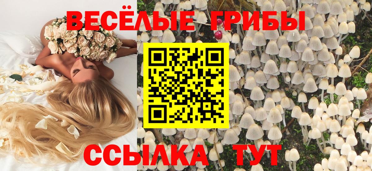 Галлюциногенные грибы мицелий Псков