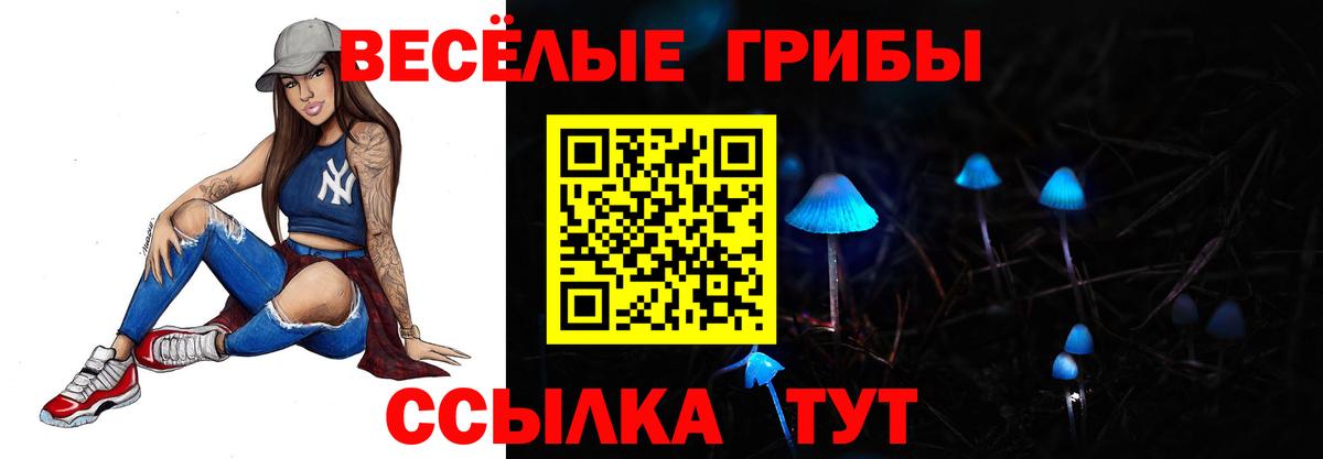Псков  Галлюциногенные грибы MAGIC MUSHROOMS  Вход с VPN  Галлюциногенные грибы Psilocybine cubensis 